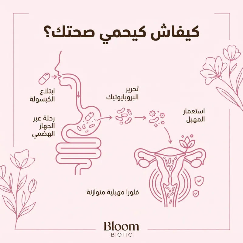 كيفاش كيخدم